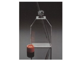 Frascos De Cultura Celular Surface Area 225 Cm2 - Cls431081-25ea - Corning